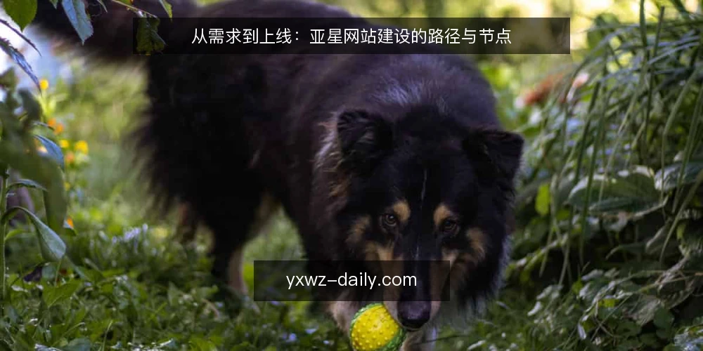 从需求到上线:亚星网站建设的路径与节点 — 运营痛点:网站从零到一的常见卡点 配图