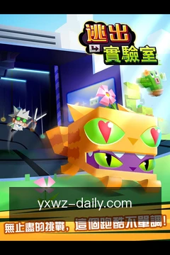 项目动态